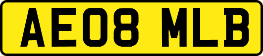 AE08MLB