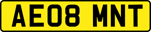 AE08MNT