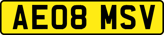 AE08MSV