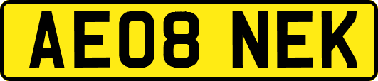 AE08NEK