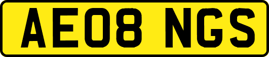 AE08NGS