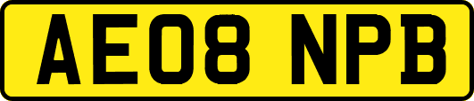 AE08NPB