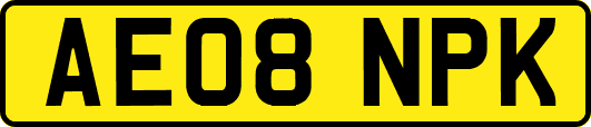 AE08NPK