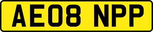 AE08NPP