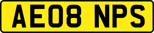 AE08NPS