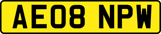 AE08NPW