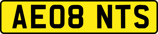 AE08NTS