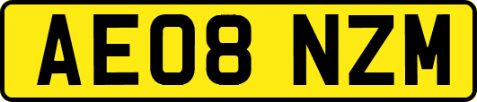 AE08NZM