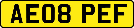 AE08PEF