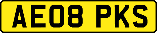 AE08PKS