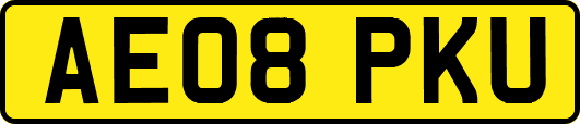 AE08PKU