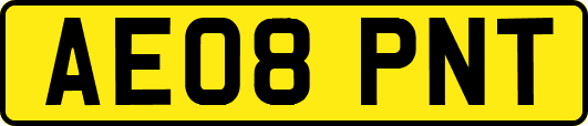 AE08PNT