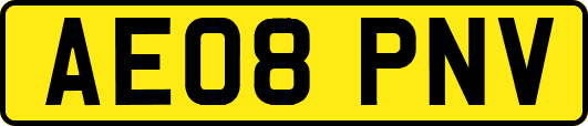 AE08PNV