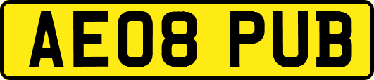 AE08PUB