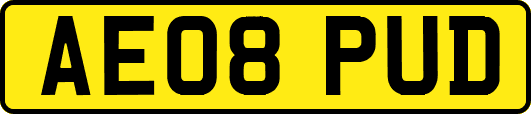AE08PUD