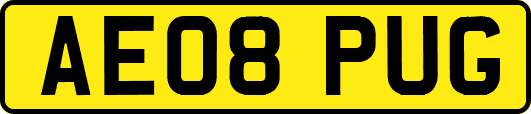 AE08PUG