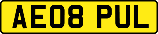 AE08PUL
