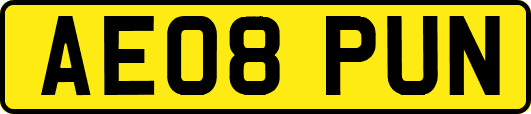 AE08PUN