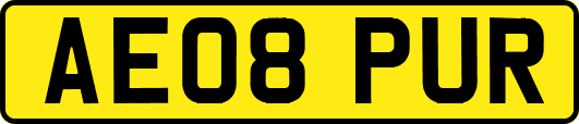 AE08PUR