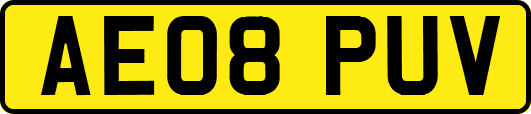 AE08PUV