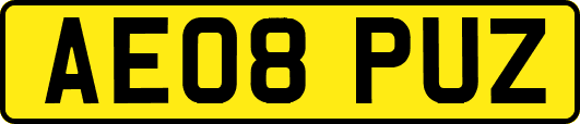 AE08PUZ