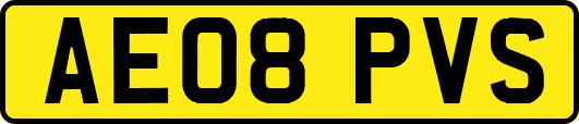 AE08PVS
