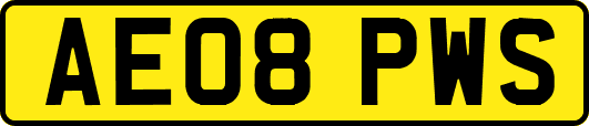 AE08PWS