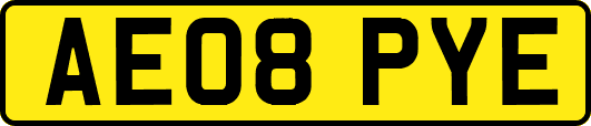 AE08PYE