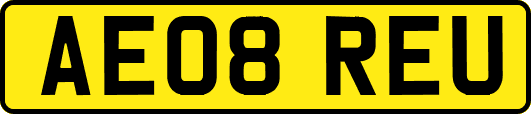 AE08REU
