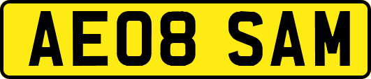 AE08SAM