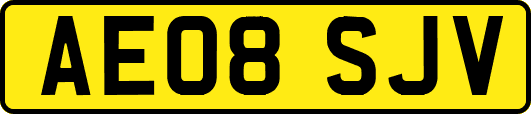 AE08SJV