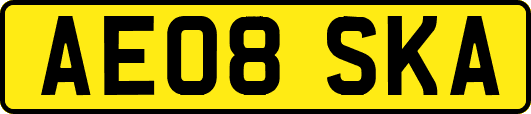 AE08SKA