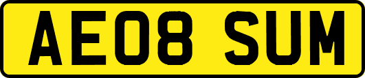 AE08SUM