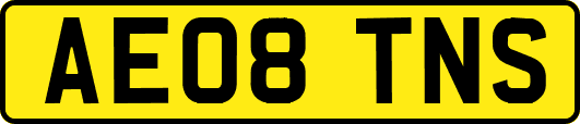 AE08TNS