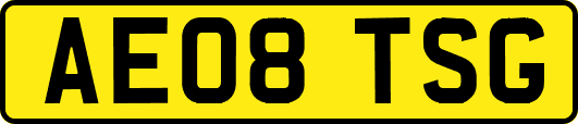 AE08TSG