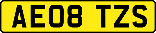 AE08TZS