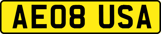 AE08USA