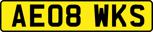 AE08WKS