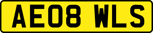 AE08WLS