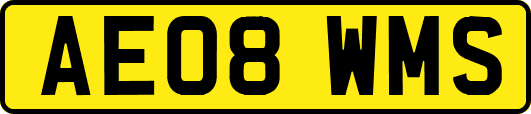 AE08WMS
