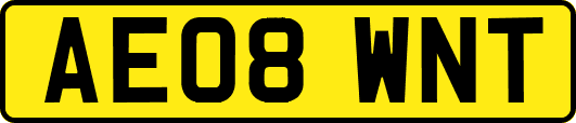 AE08WNT