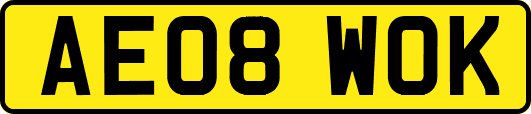AE08WOK
