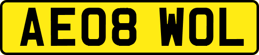AE08WOL