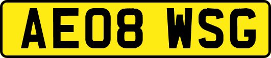 AE08WSG