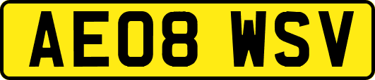 AE08WSV