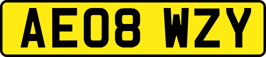 AE08WZY
