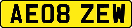 AE08ZEW