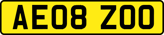 AE08ZOO