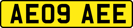 AE09AEE