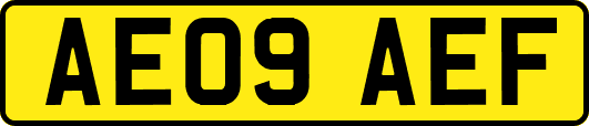 AE09AEF